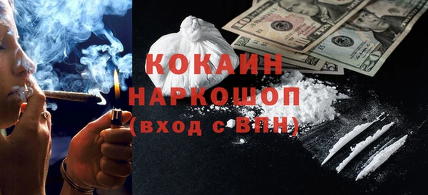 мет Алексин