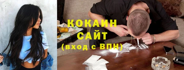 мет Алексин