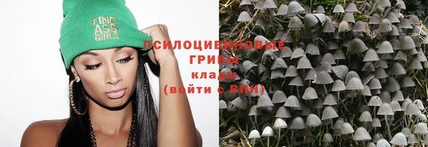 хмурый Алексеевка